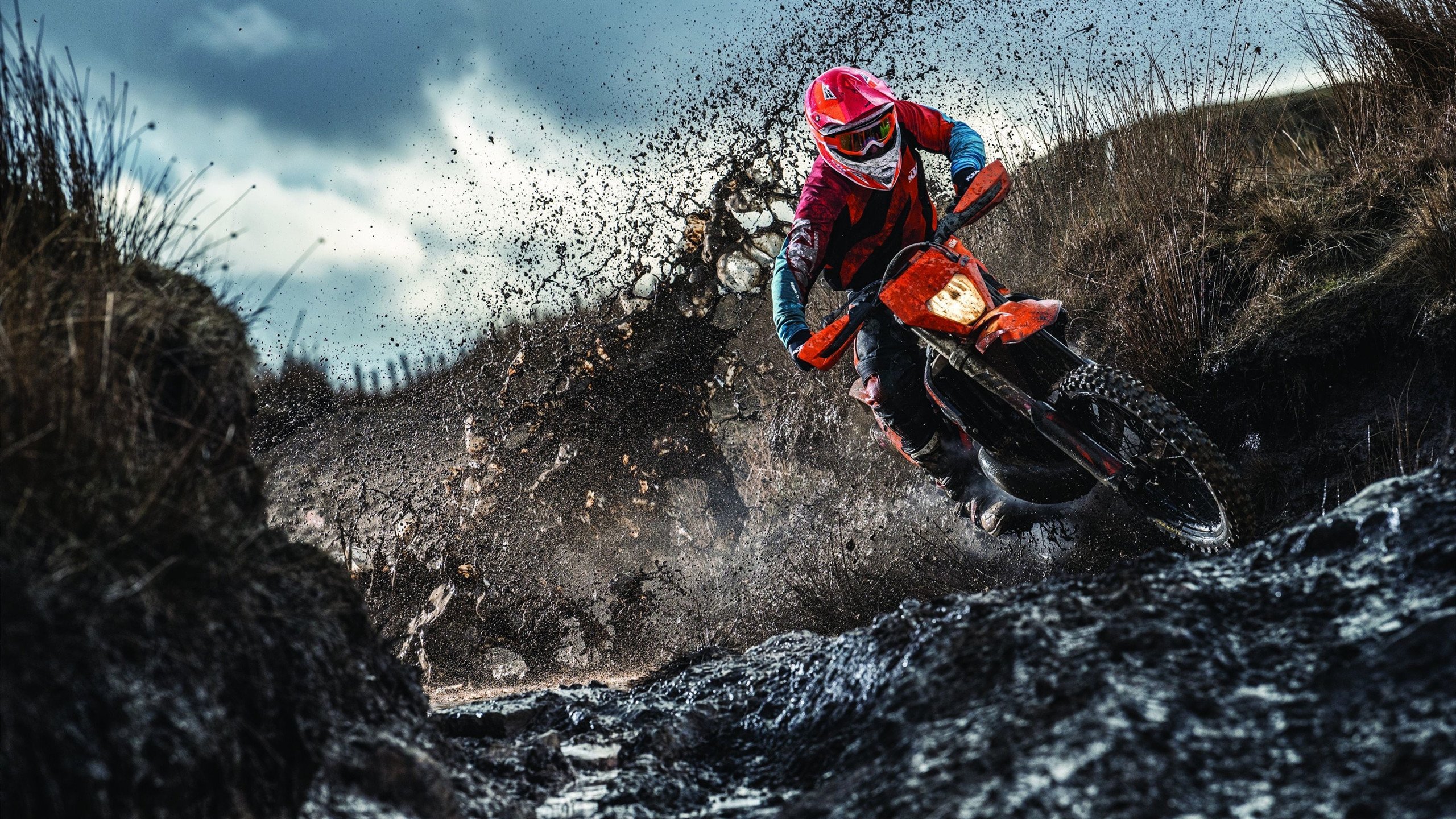 爱游戏在线-F1新赛季揭幕战与森林狼绝杀爵士，速度与决断的终极交响